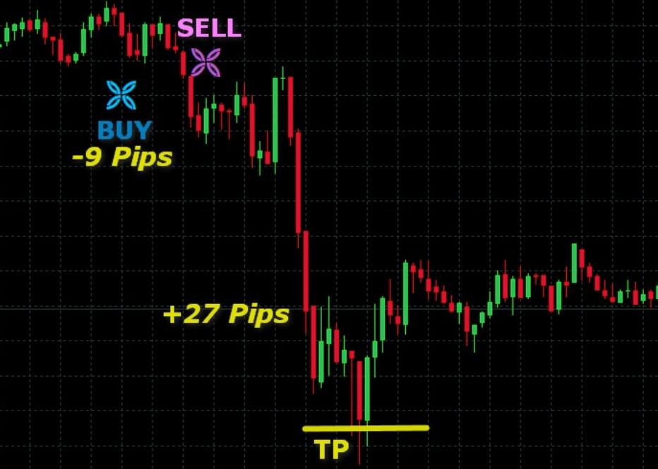 FOREX VIKING PRO is a paid trading system without future functions